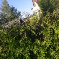 img-20180719-wa0001.jpg
